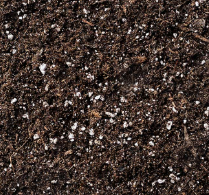 Potting Mix (10kg)